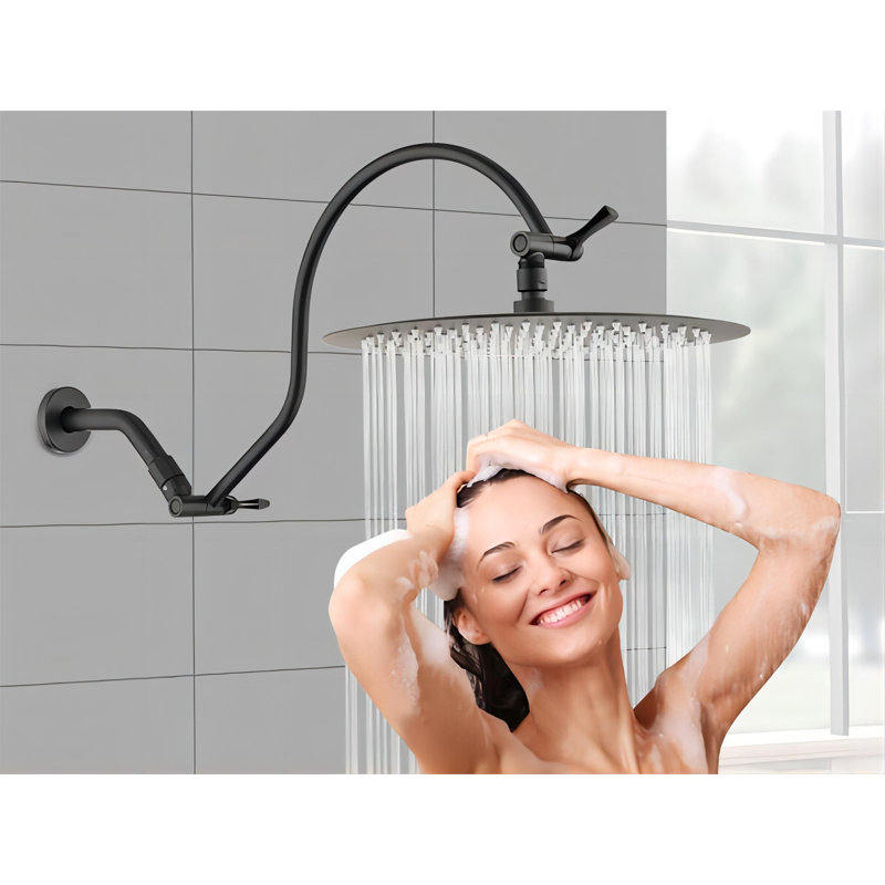 Rain Adjustable Shower Head 1.8 GPM GPM, Matte Black