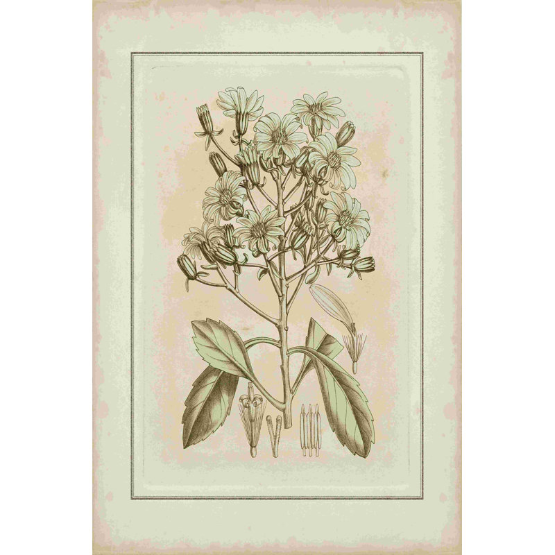 Botanique teinté I, H 18 po x l 12 po
