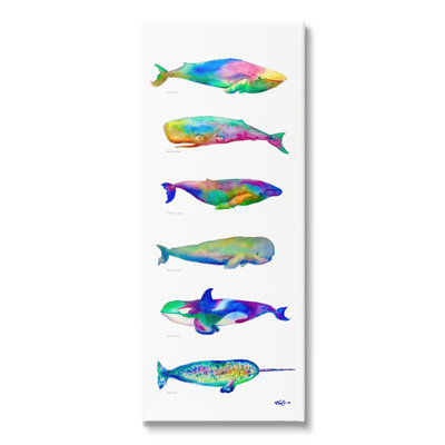 " Bold Kaleidoscopic Whale Narwhal Types Sea Life Chart " Graphic Art Print