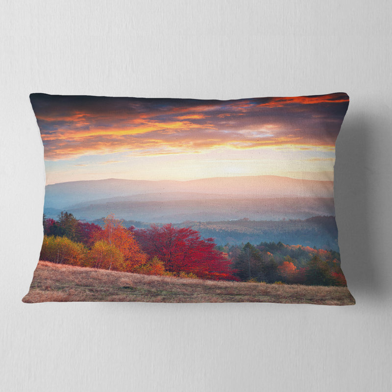 Coussin Schafer