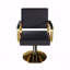 Fauteuil de coiffeur pivotant à 360 ° avec pompe pour salons de coiffure et spas Black & Gold