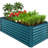 Rosonda Outdoor Metal Raised Planter Box-78598327-127370207
