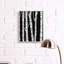«Black Forest Modern Birch Trees» par Ruth Fromstein - impression-401489585-401489584