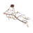 57" Long 8 Light Oblong Chandelier