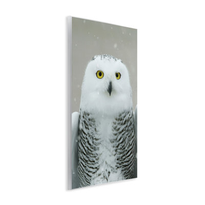 «Snowy Owl» par Carrie Ann Grippo-Pike