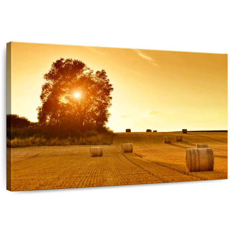 Hay Bales In The Field, 32" H x 48" W