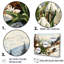 Impression sur toile Mountain Snowdrops Charm In Winter II - Snowdrops-1471009512-1471009526