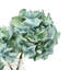 Hydrangea Florals In Mason Jar-72779265