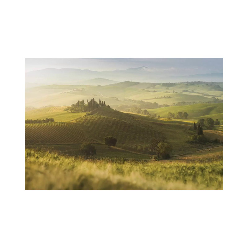 Spring in Tuscany IX 1 Piece Wrapped Canvas Wall Art, 20.32 cm H x 30.48 cm W