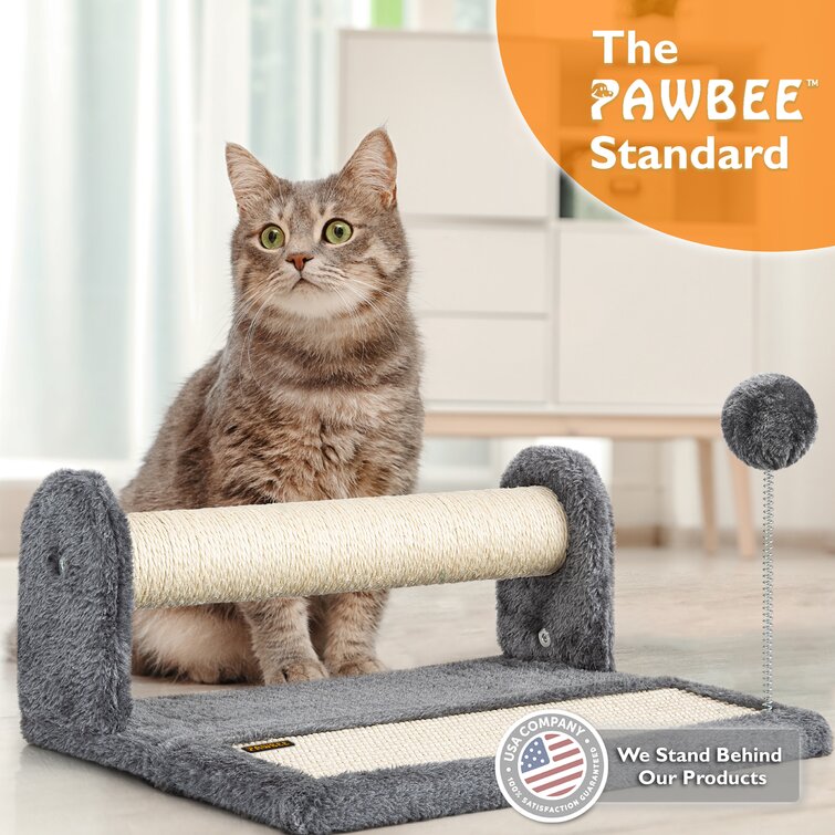 PAWBEE Cat Mat & Reviews