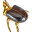 Brass Beetle Colony