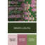 Rose Dahl/Tapis décoratif vert-1605778591