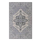 Rowe Medallion Oriental Area Rug in Blue/Gray/Ivory