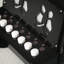 Accordéon pour enfants Woodstock - noir-1226121671