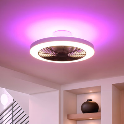 Hemion 19.6" Rgb Ceiling Fan With Led Lights And Remote Control (ser Of 2)