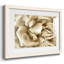 Fleur murale neutre II-941175357-941175356