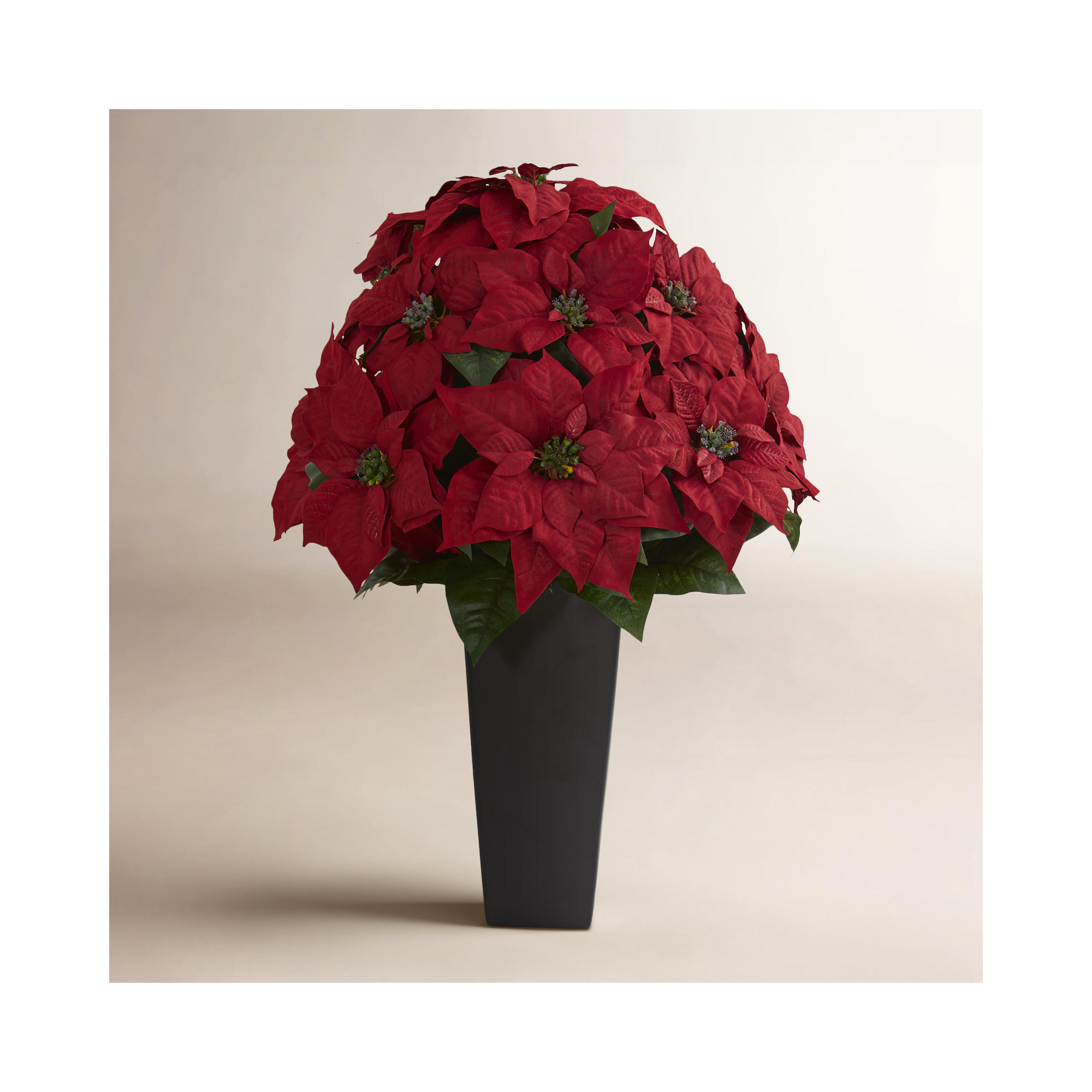 Poinsettia Floral Arrangement in Planter, Black, 27" H x 20" W x 20" D