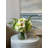 Arrangement in Vase