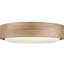 Richard June Transitional Aurelle Flush Mount Light-1218731376