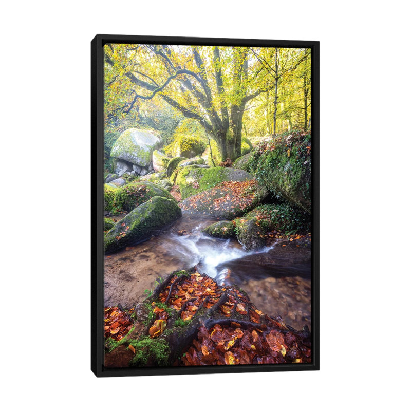 Huelgoat Magic Forest by Philippe Manguin - Floater Frame Print on Canvas, Black Floater Frame, 66.04 cm H x 45.72 cm W