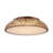 Antique Circular Led Flush Mount Light With Clear Crystals