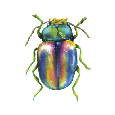 Buggin Out I by Larisa Hernandez - Wrapped Canvas Painting