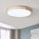 1 - Light 16.54'' LED Flush Mount