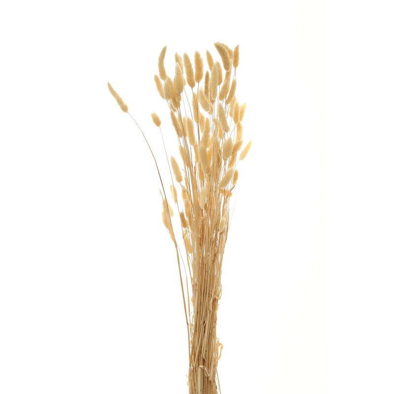 Bunny Tails Arrangement