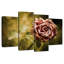 Rose rose délavé-412943782