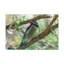 No Frame Print on Canvas-1280899116
