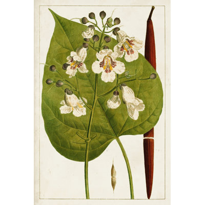 Antique Flowering Trees V - No Frame Painting on Canvas