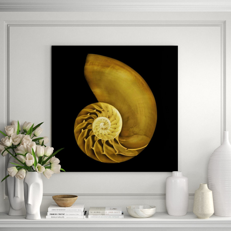 Nautilus On Black Print by Harold Davis, Outdoor, 30" H x 30" W