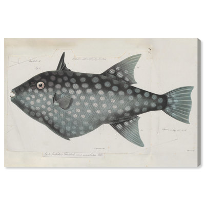 Triggerfish - peinture sur toile