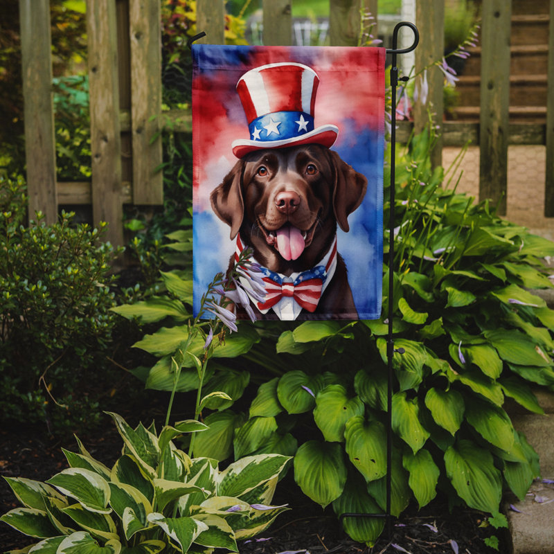 Drapeau patriotique du jardin américain, Labrador Retriever chocolat