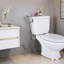 Handheld Toilet Bidet Sprayer Kit