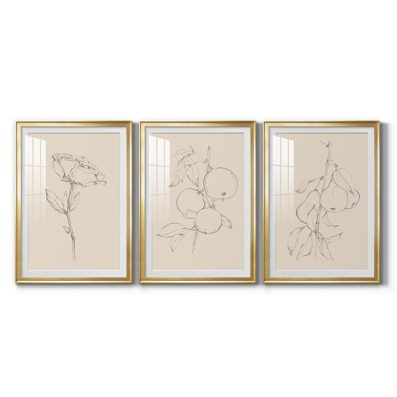 Floral Contour Study IV, reproduction encadrée de qualité supérieure, prête à être accrochée, H 24,5 po x l 55,5 po x P 1 po
