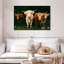 Vaches Highland-107668604