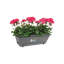 Barcelona Railing Planter-70005267