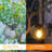 15'' Solar Powered Integrated LED Barrel Lantern-110981875