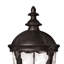 Windsor 1 -Light 30" H Hardwired Lantern Head-1947275686