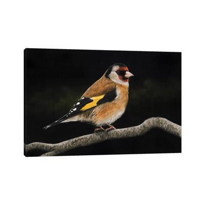 " European Goldfinch#2 " by Mikhail Vedernikov