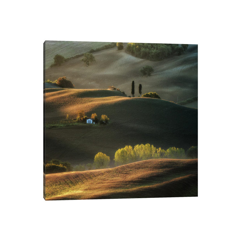 Impression II by Adam Pachula - Wrapped Canvas Print, 66.04 cm H x 66.04 cm W x 3.175 cm D