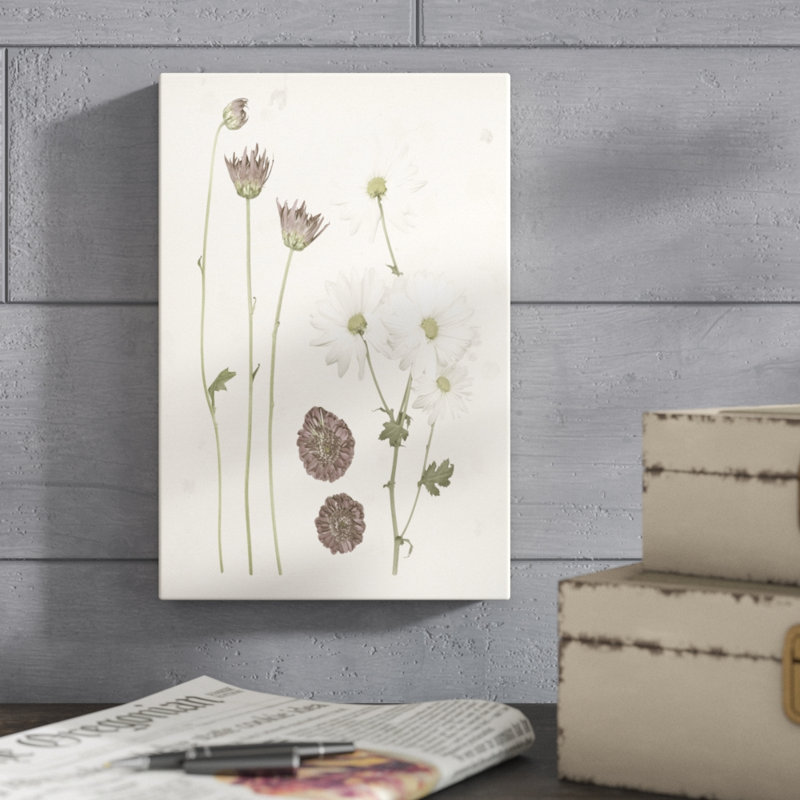 'Pressed Blooms IV' by Grace Popp - Graphic Art Print, 30cm H x 20cm W, Wrapped Canvas