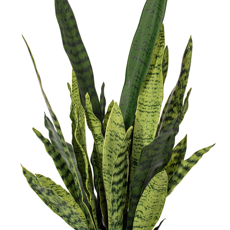 Faux Snake Plant in Cement Pot