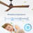 52" Wood  Ceiling Fan NO Light, 3 Reversible Blades, With 6 Speeds Reversible DC Motor,Low Profile Ceiling Fan With No Light For Living Room Kitchen Bedroom-1561376472-1561376475
