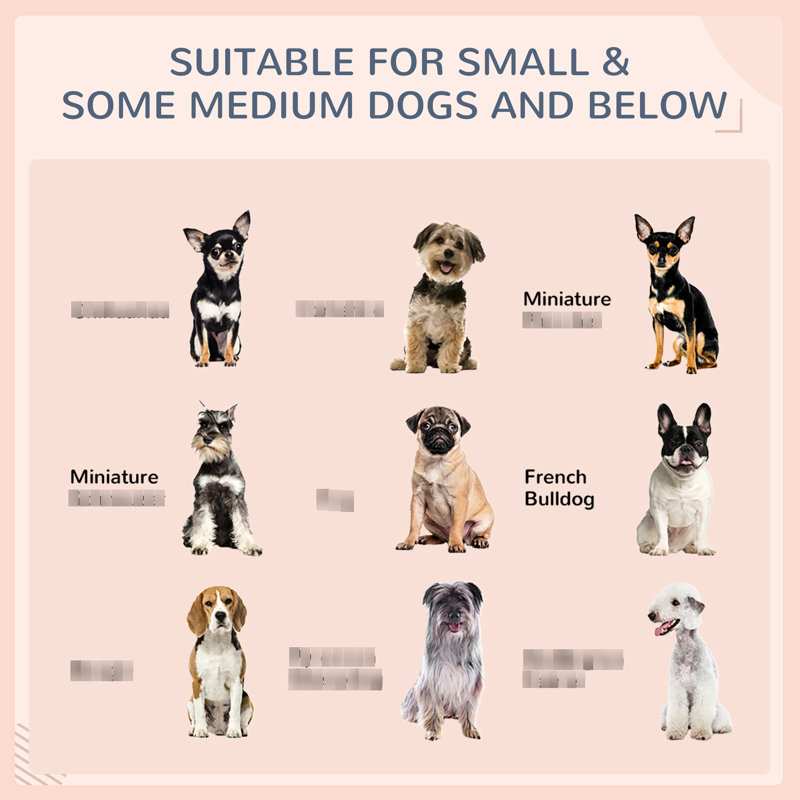 Cabane pour chien avec auvent, tapis à séchage rapide, pour chiens de taille moyenne, petit lit gris et coussin d'eau moyen, PE, base surélevée