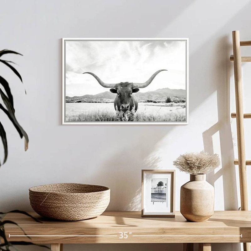Longhorn Texas BW, Cadre flottant blanc, 19 po x 13 po