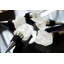 Gaye Quartz Crystal 1 Piece Bottle Stopper
