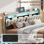 Ollegard Upholstered Ottoman Storage Bed