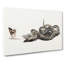 Snake And Butterfly by Johan Teyler - Wrapped Canvas Painting-55318276